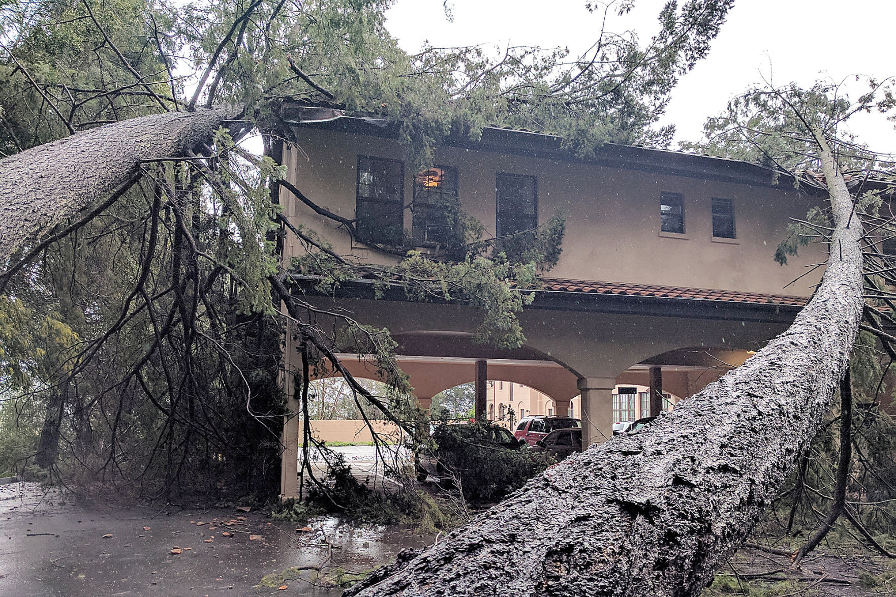 Mont La Salle Storm Damage